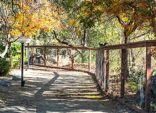 a bridge over a path in the woods