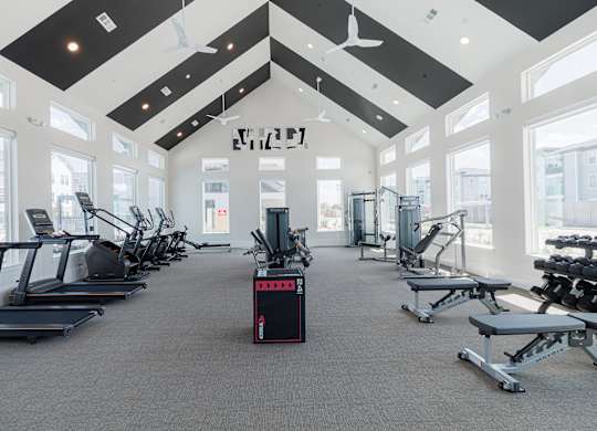 A gym with treadmills, weights and exercise machines.