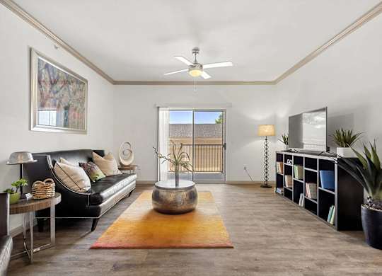 A living room with a couch, a rug, a ceiling fan, and a bookshelf.