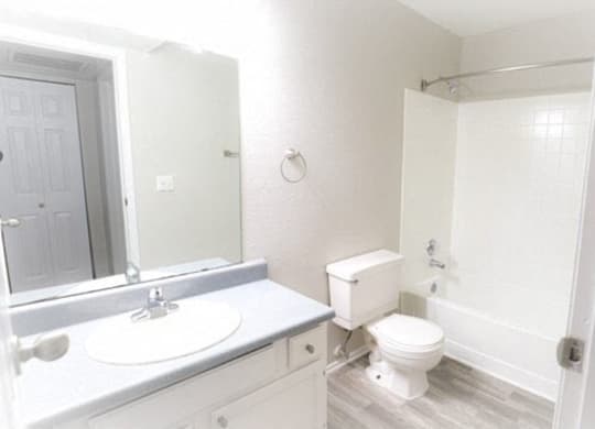 a bathroom with a toilet and a sink and a mirror