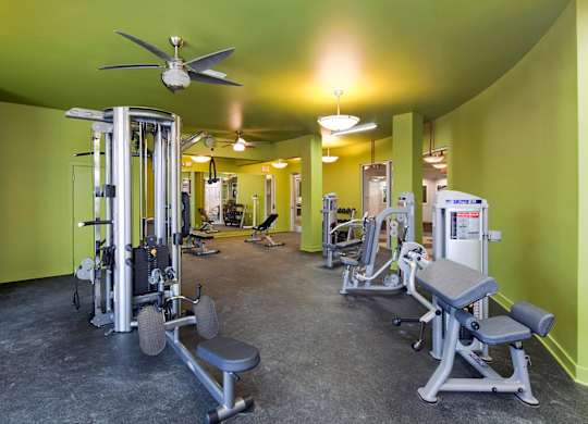 A gym with a variety of equipment including a weight bench, a squat rack, and a fan.