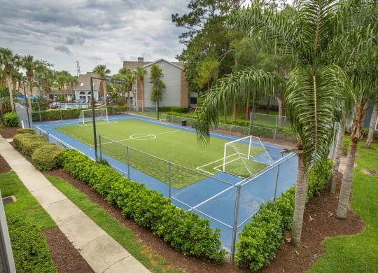 Twelve Oaks at Windermere Sports Court