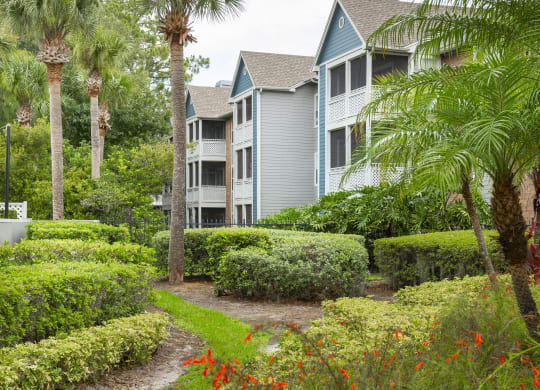 Twelve Oaks at Windermere Apartment Exteriors