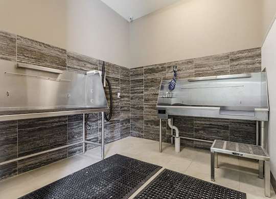 A room with a stainless steel sink and a stainless steel dryer.