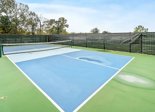 A tennis court with a net and trees in the background.