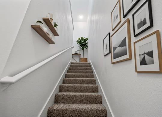A staircase with a plant on the landing and pictures on the wall.
