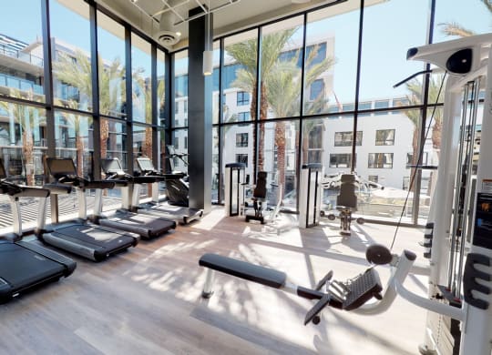 treadmill area in our fitness center