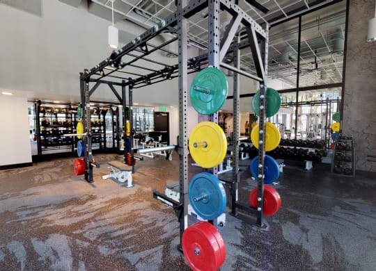 our squat rack fitness center