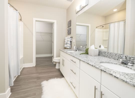 a bathroom with two sinks and a shower and a toilet