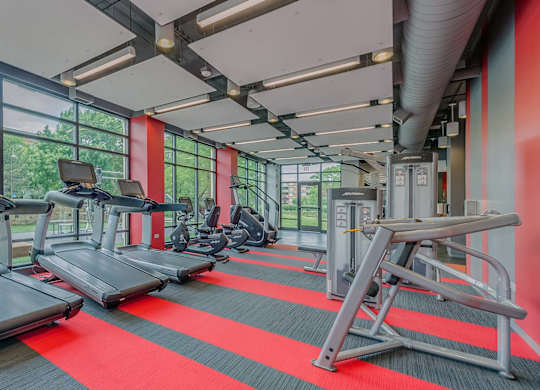 A gym with treadmills, elliptical machines, and weight machines.