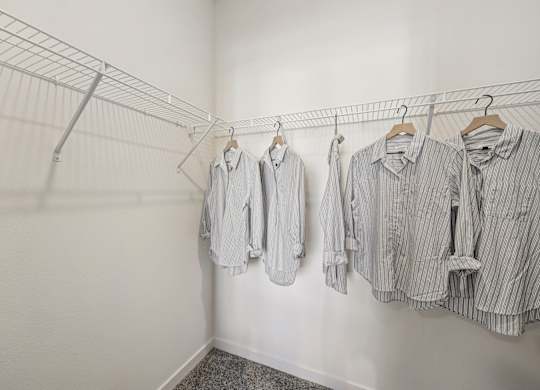 Generous Walk-In Closets With Shelving at Fora Apartments, Nevada