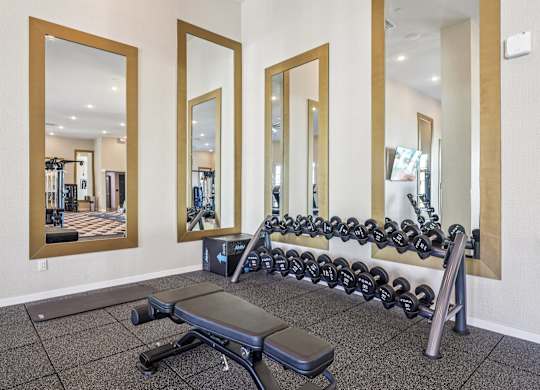 Gym at Fora Apartments, Nevada, 89183