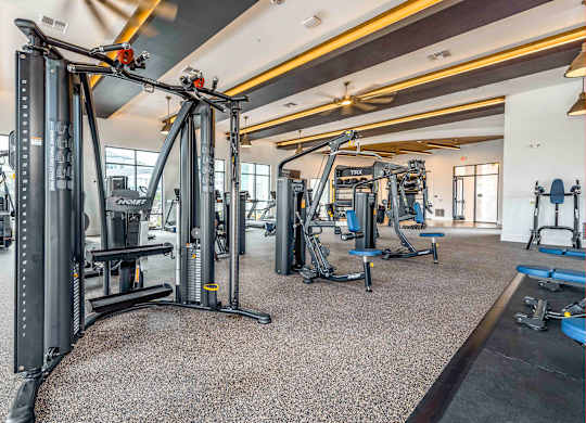 A gym with a variety of equipment including a squat rack and a bench press.