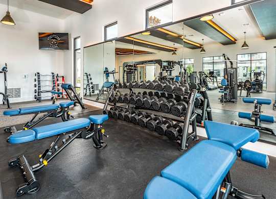 A gym with a variety of equipment including weights and benches.