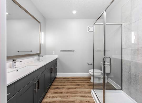 A bathroom with a walk-in shower and a toilet.