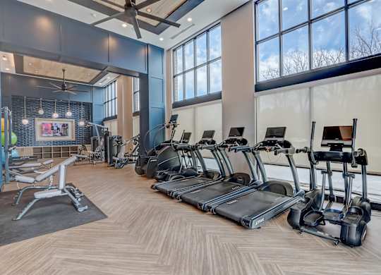 a gym with treadmills and weights and windows