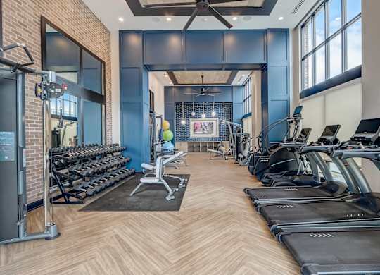 a gym with cardio machines and weights and windows