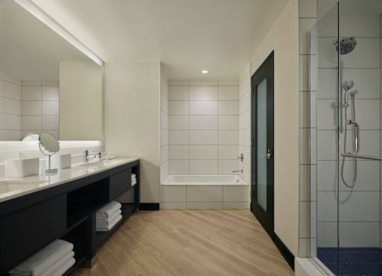 A modern bathroom with a walk-in shower and a vanity with a mirror.