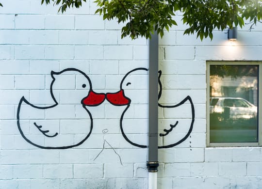 a mural of two birds on the side of a building