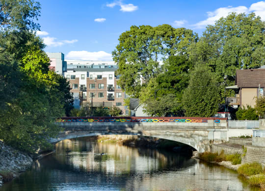 a bridge over a river in a city