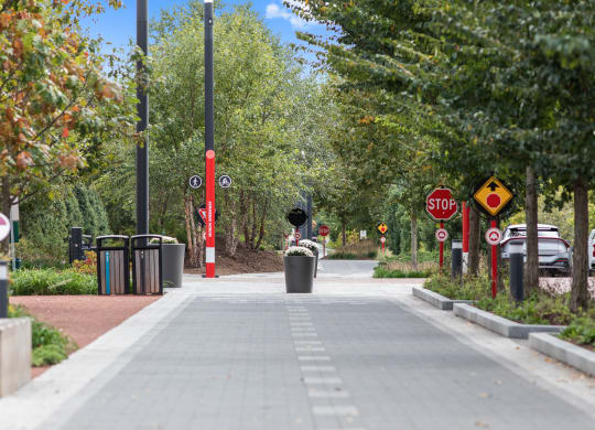 a city sidewalk with trees and a stop sign