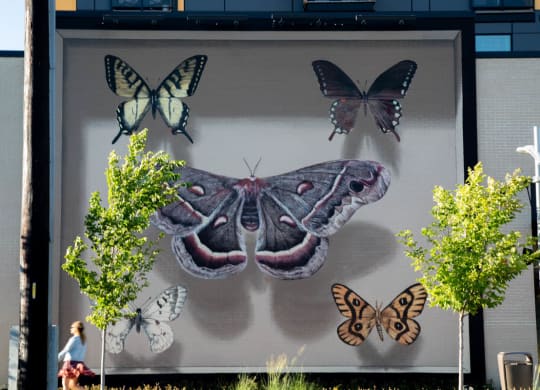 Art found throughout the community. This piece is by Mantra and is a popular spot for photographers