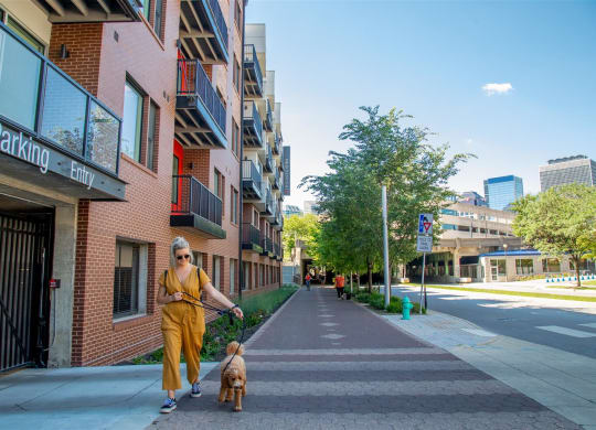 Woman With Her Dog at CityWay, Indianapolis