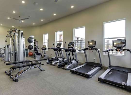the gym is equipped with state of the art cardio equipment and weights at Echo Park at Perry Crossing Apartments, Plainfield, IN, 46168