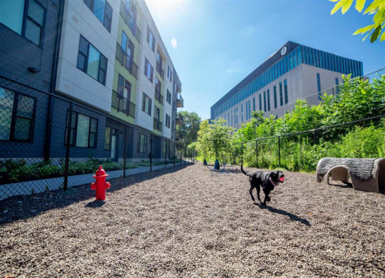 Outdoor pet park located on the north end of CityWay with agility court and play areas for dogs