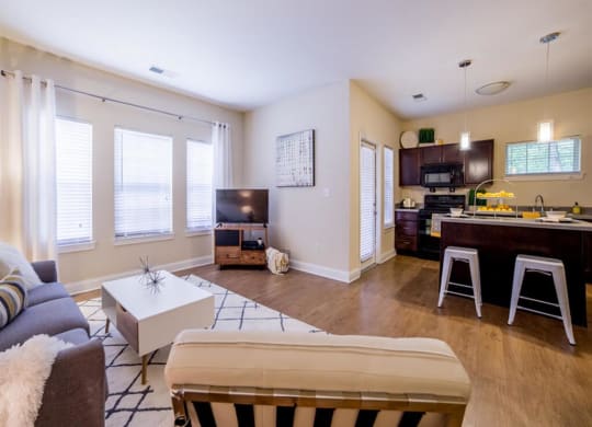 Living Room With Television, at Buckingham Monon Living, Indianapolis