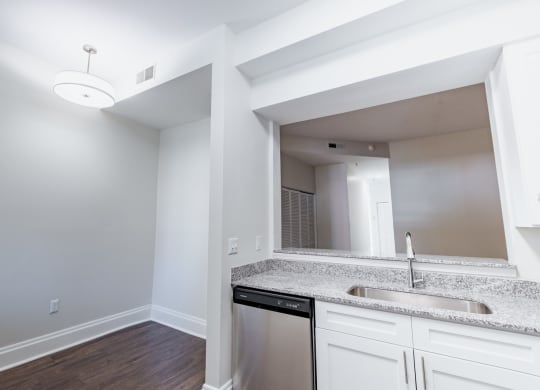 Single Basin Sinks Big Enough For All Of Your Cooking Needs at Lockerbie Court on Mass Ave, Indiana