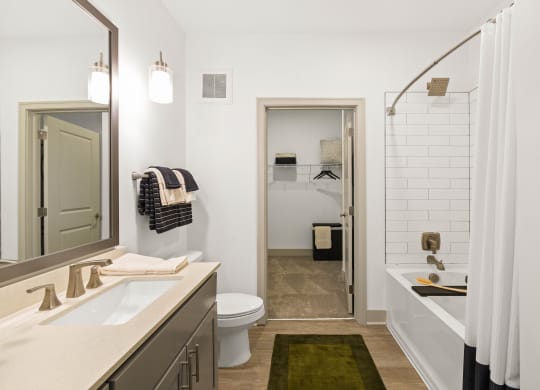 a bathroom with a sink and a toilet and a shower