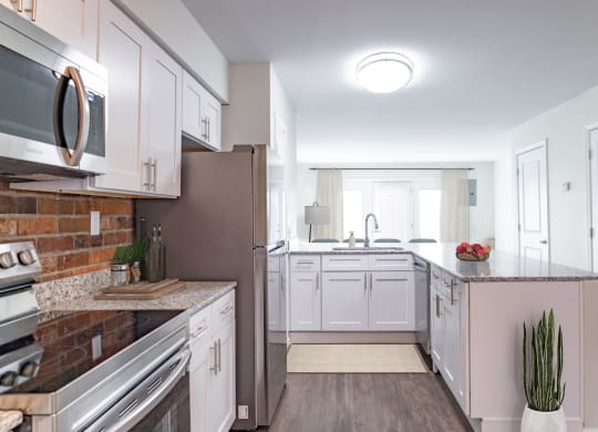Kitchen Sink at Monon Living, Indianapolis, IN