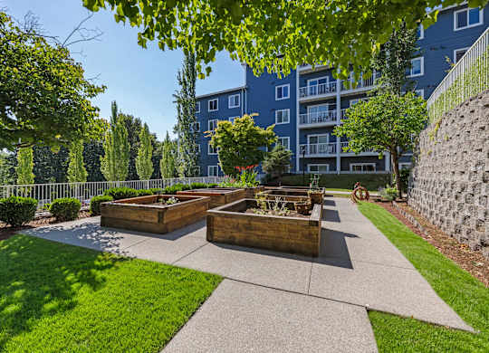 A sunny day in a well-maintained garden with raised beds and a stone wall.
