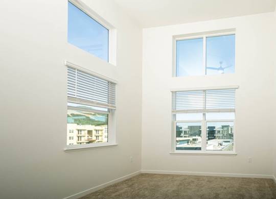 Expansive Windows at 38° NORTH, Santa Rosa, CA, 95404