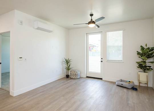 Ceiling Fan at 38° NORTH, Santa Rosa, 95404