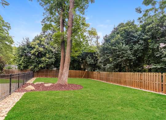 A tree in a yard with a fence.