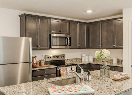 Modern kitchen with stainless steel appliances, granite countertops, and decorated sugar cookies.