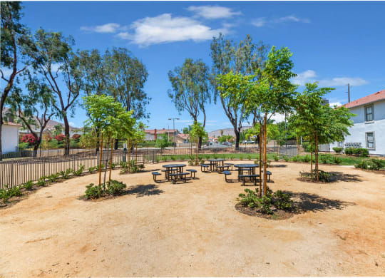 Apartments for Rent in Moreno Valley, CA - Sorelle Apartments - Picnic Area with Fence, Trees, Round Tables, and Benches