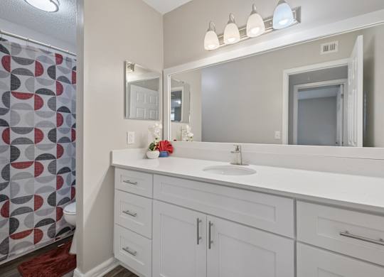 A bathroom with a white vanity and a mirror above it.