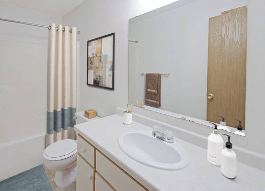 A bathroom with a toilet, sink, and shower.