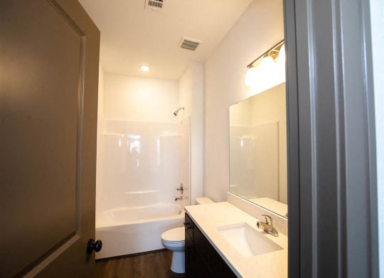 a bathroom with a sink and a toilet and a bath tub