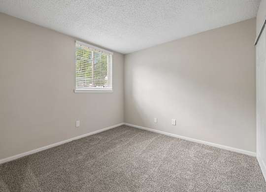 A room with a carpeted floor and a window with blinds.