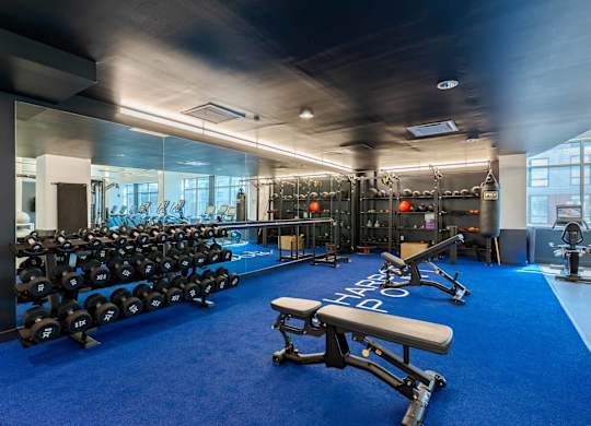 A gym with a blue carpet and a variety of equipment.