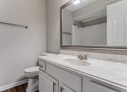 a bathroom with a sink and a toilet