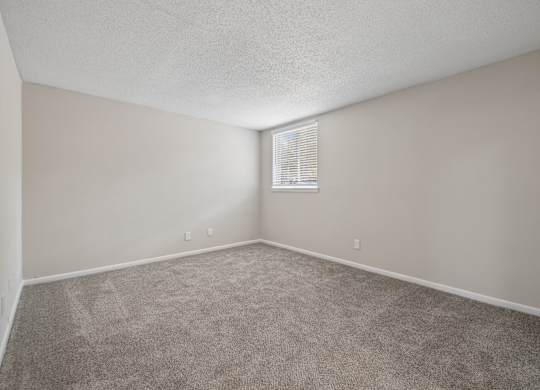 A room with a carpeted floor and a window with blinds.