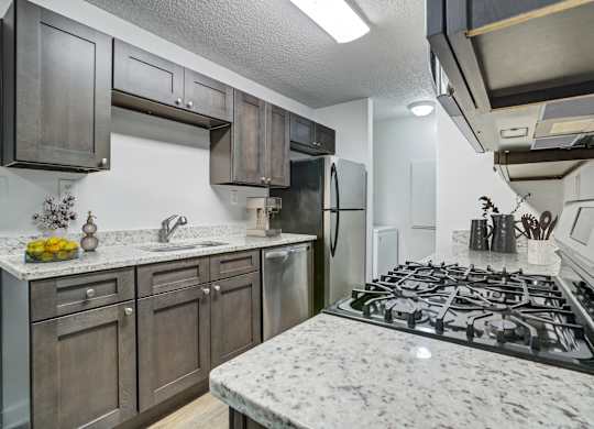 Renovated apartment kitchen with lots of cabinet space at Chelsea Apartments in Gainesville FL, pet-friendly community