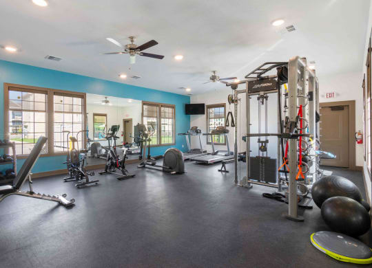 the gym has plenty of weights and cardio equipment and windows