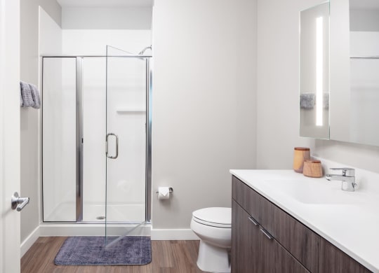 glass shower doors and quartz bathroom counters