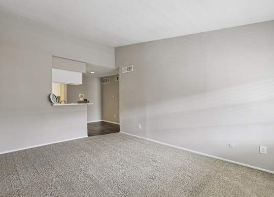 A room with a carpeted floor and a mirror on the wall.